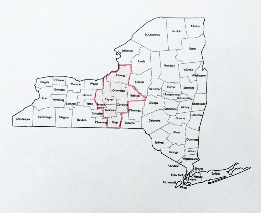 Map of NY counties affected by DDOS attacks