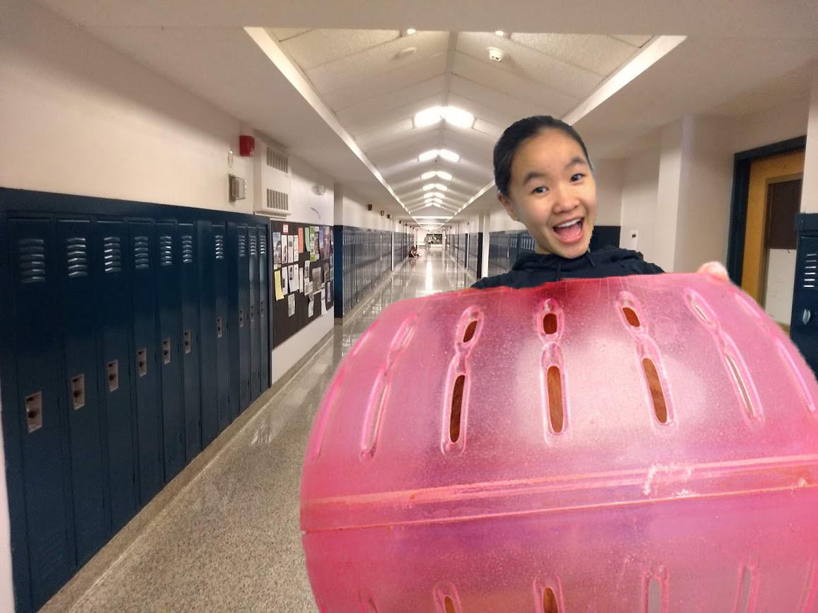 Human-Sized Hamster Balls Roll Into the Hallways of JDHS