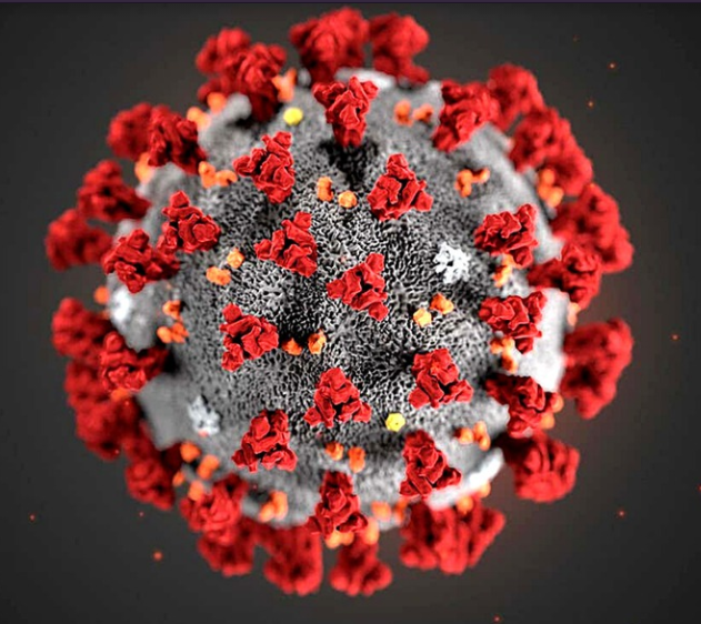 Cootie Outbreak Causes Chaos, Confusion