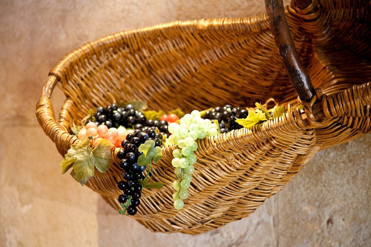 Photo shows a cornucopia. Photo courtesy of psaudio on Pixabay